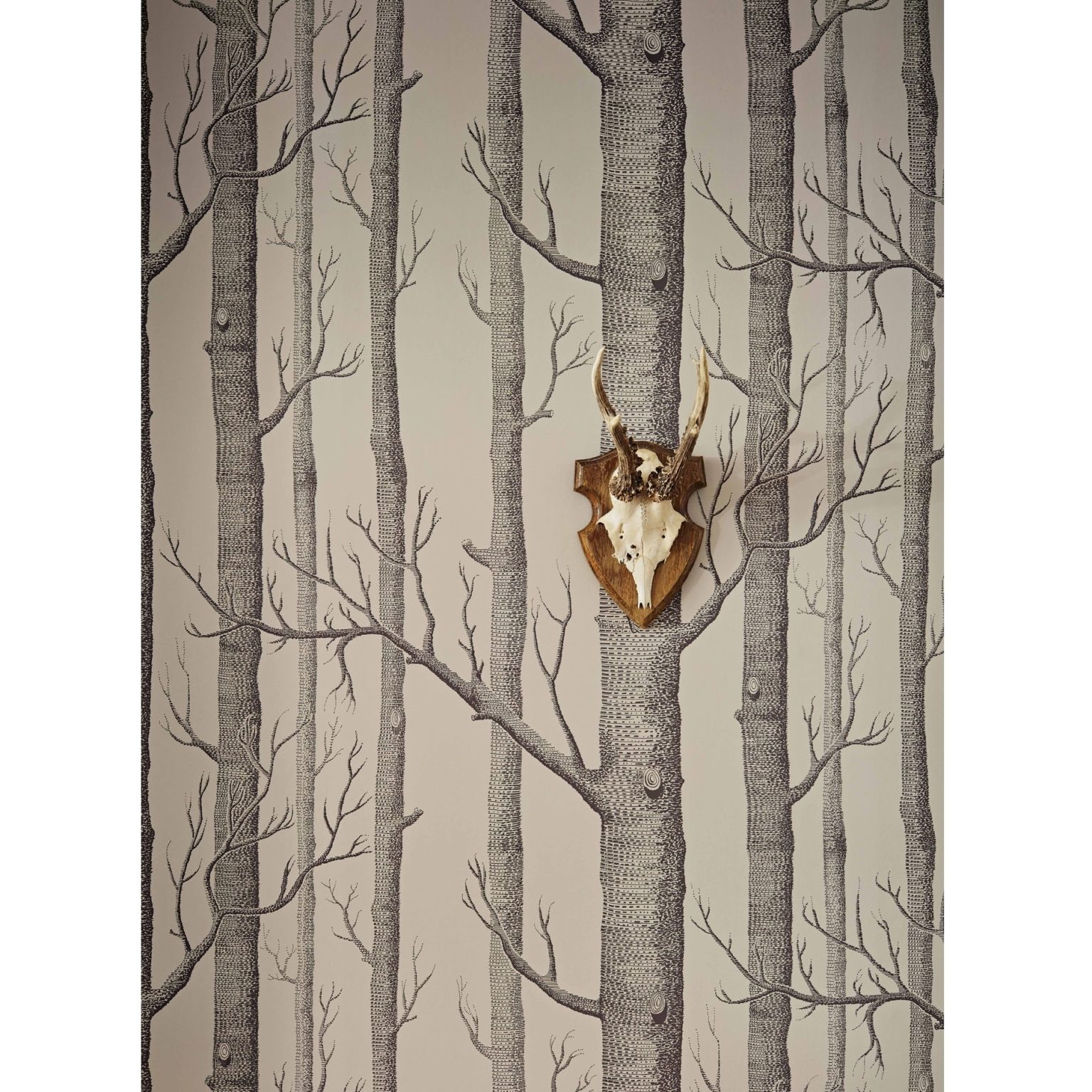 WOODS TAPETA COLE&SON