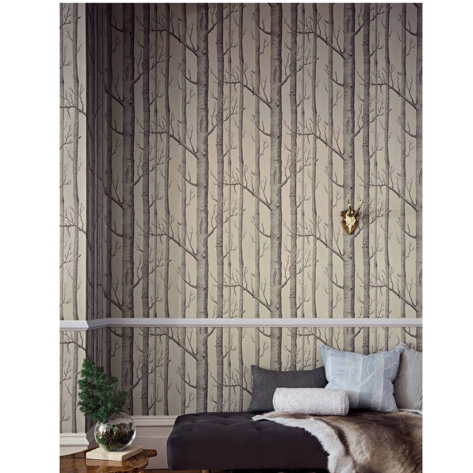 WOODS TAPETA COLE&SON