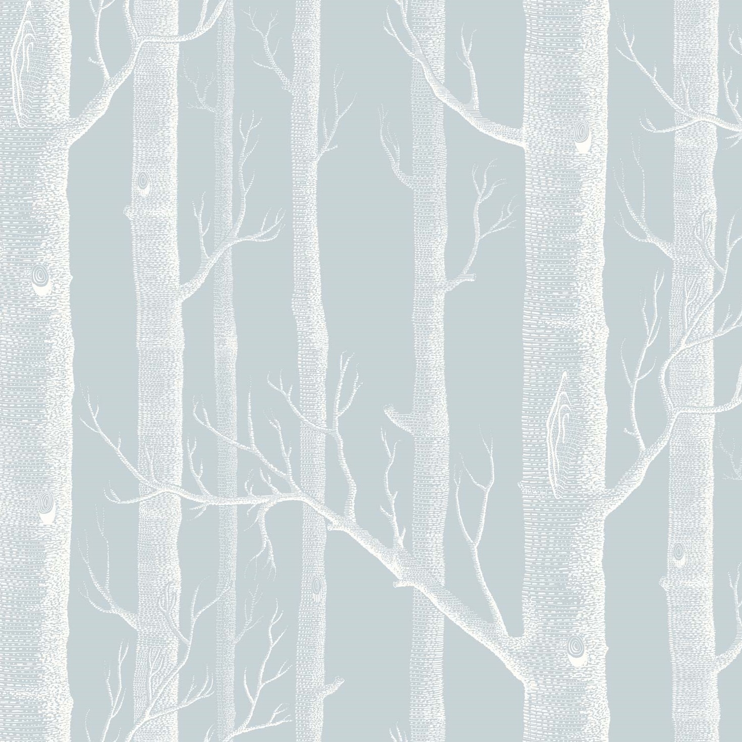 WOODS 103/5022 TAPETA COLE&SON