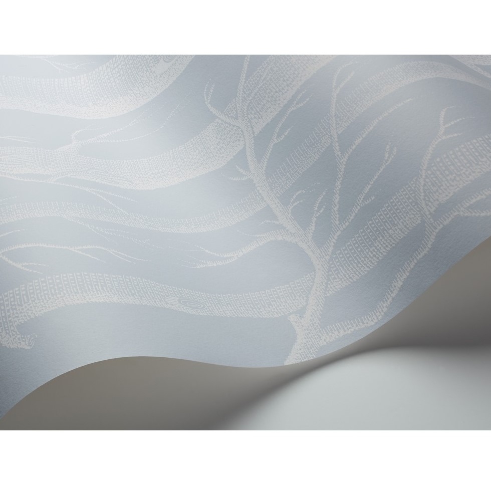 WOODS 103/5022 TAPETA COLE&SON