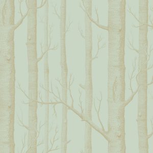 WOODS 103/5023 TAPETA COLE&SON