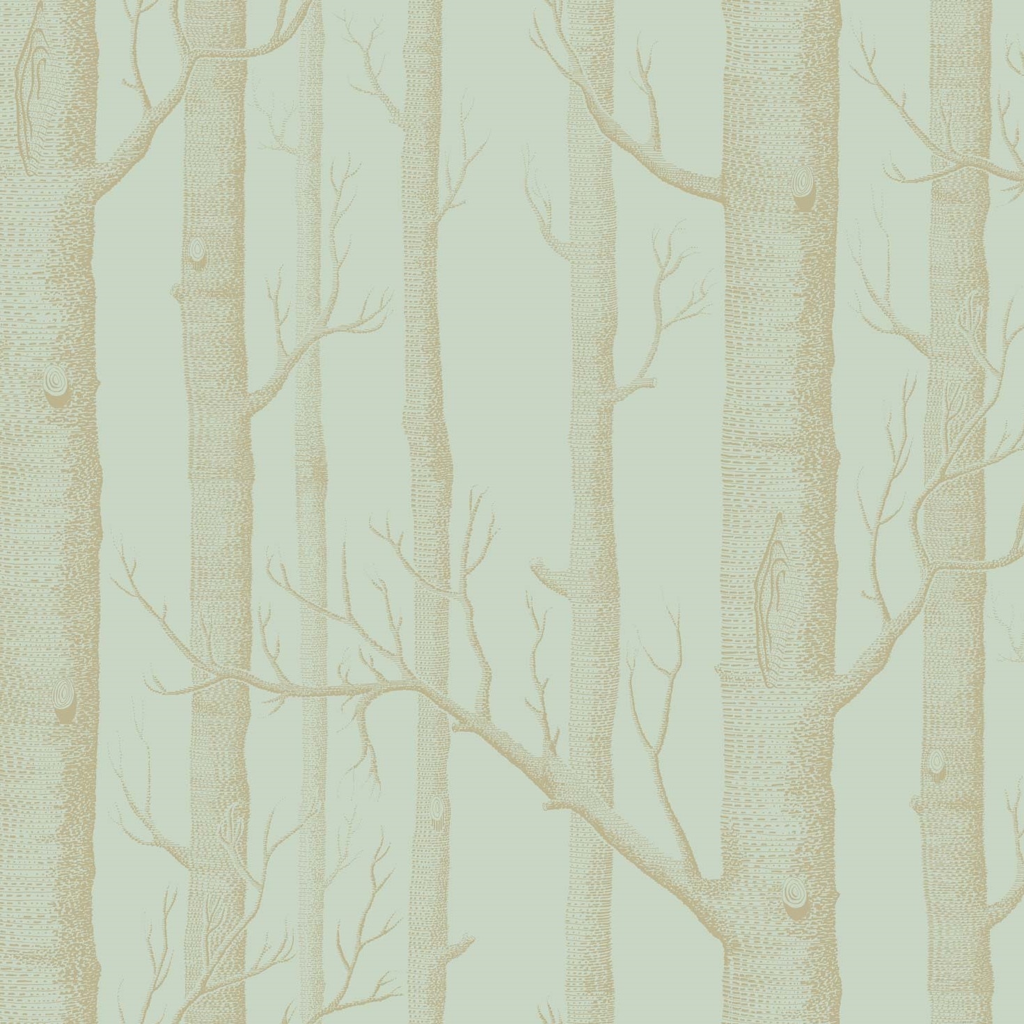 WOODS 103/5023 TAPETA COLE&SON