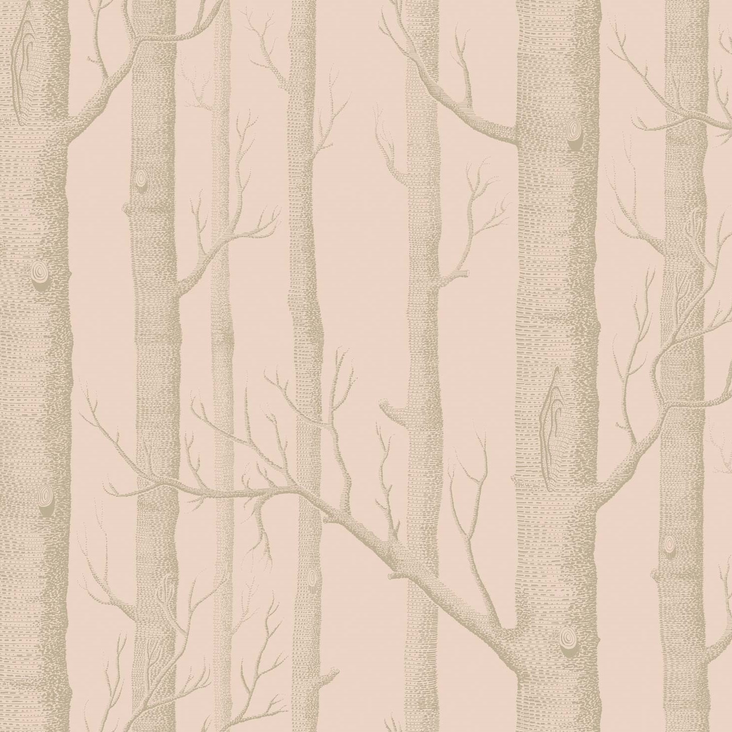 WOODS 103/5024 TAPETA COLE&SON