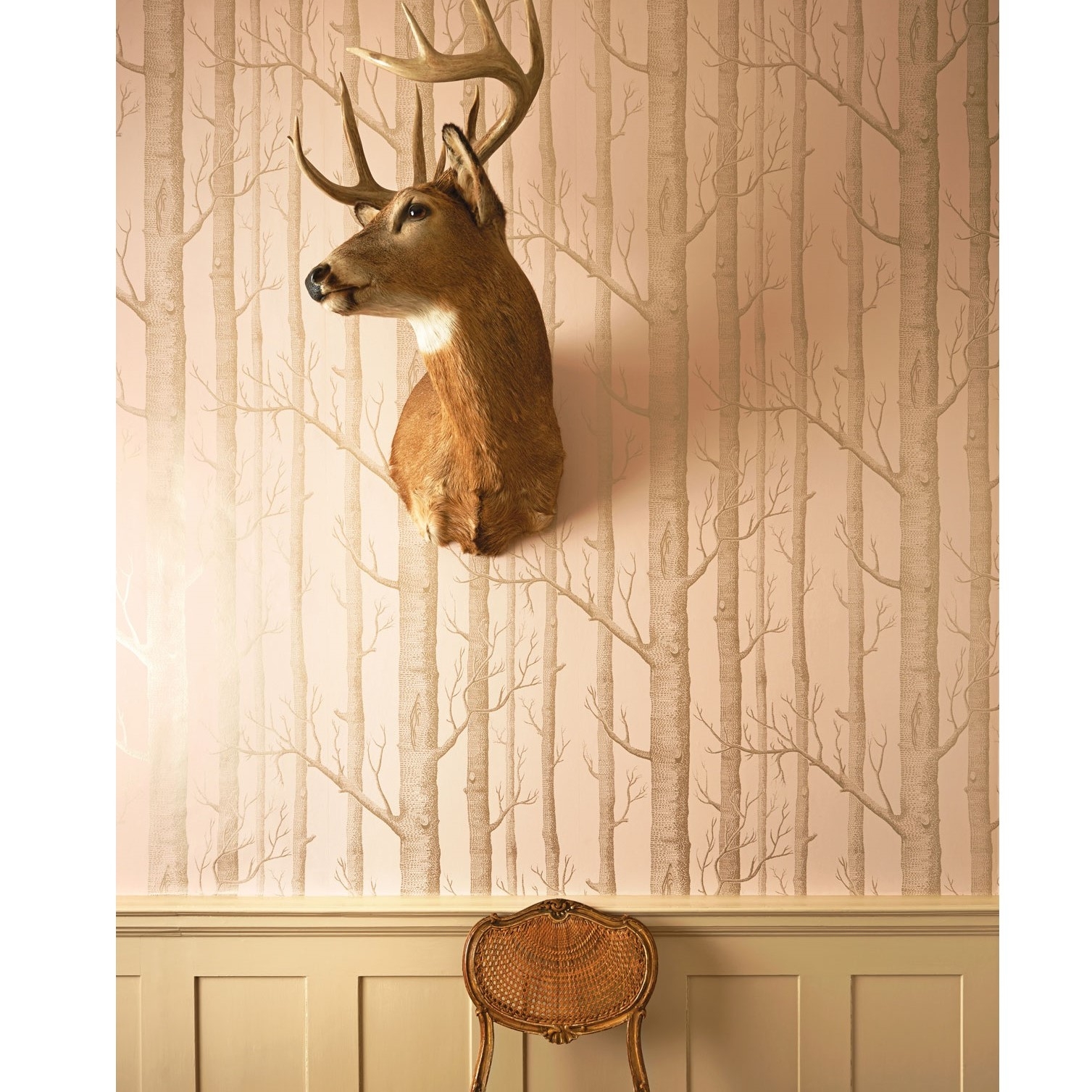 WOODS TAPETA COLE&SON