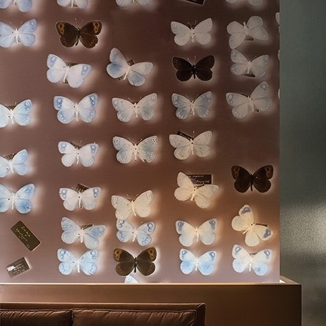 X-RAY TAPETA WALL&DECO