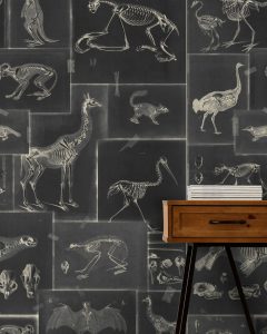 ZOOARCHAEOLOGY TAPETA MIND THE GAP