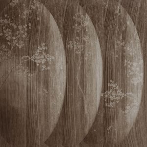 Tapeta Wall&Deco 2025 Atmosfere | WDAT2502