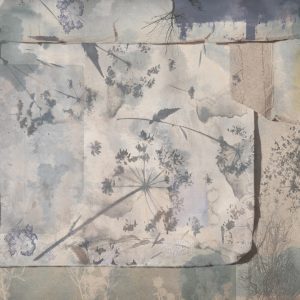 Tapeta Wall&Deco 2025 Hortorium| WDHT2501