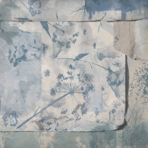 Tapeta Wall&Deco 2025 Hortorium| WDHT2502