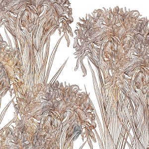 Tapeta Wall&Deco 2025 Lilly| WDLI2501