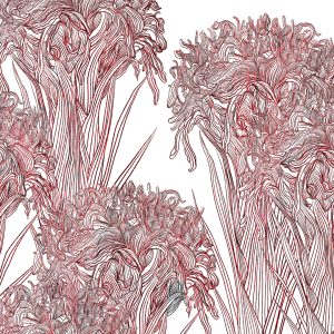 Tapeta Wall&Deco 2025 Lilly| WDLI2502