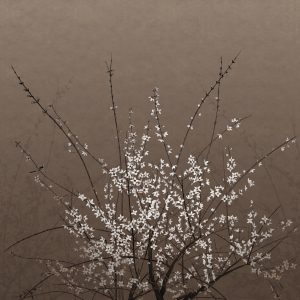 Tapeta Wall&Deco 2024 Mood for Love| WDML2401