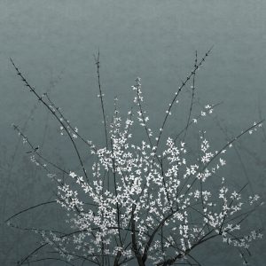 Tapeta Wall&Deco 2024 Mood for Love| WDML2402