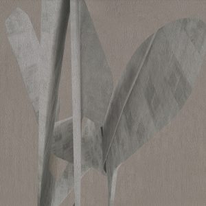 Tapeta Wall&Deco 2024 Poetico | WDPO2401