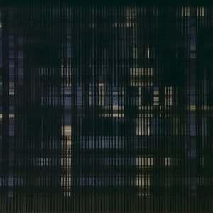 Tapeta Wall&Deco 2024 Seizā | WDSZ2402